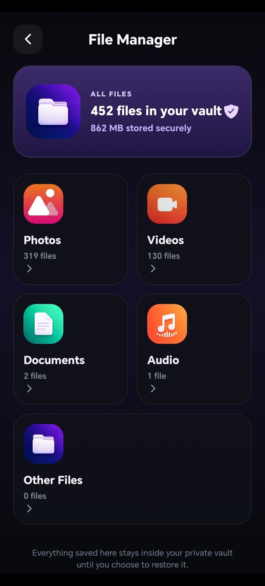 File Manager with separate photo, video, document and audio categories